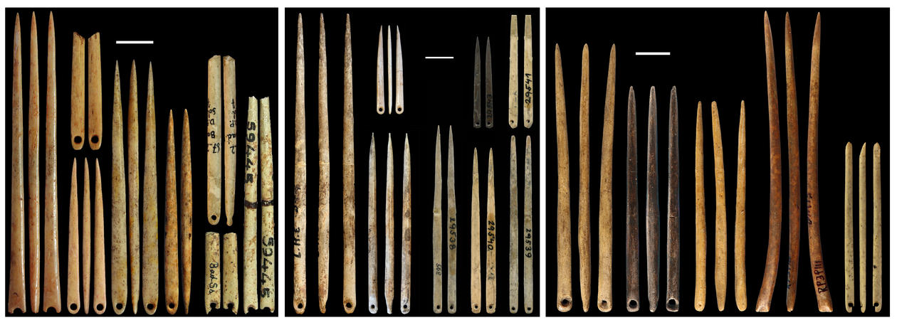 The origin of sewing technology. Palaeolithic eyed needles from France (left and centre) and China (right)