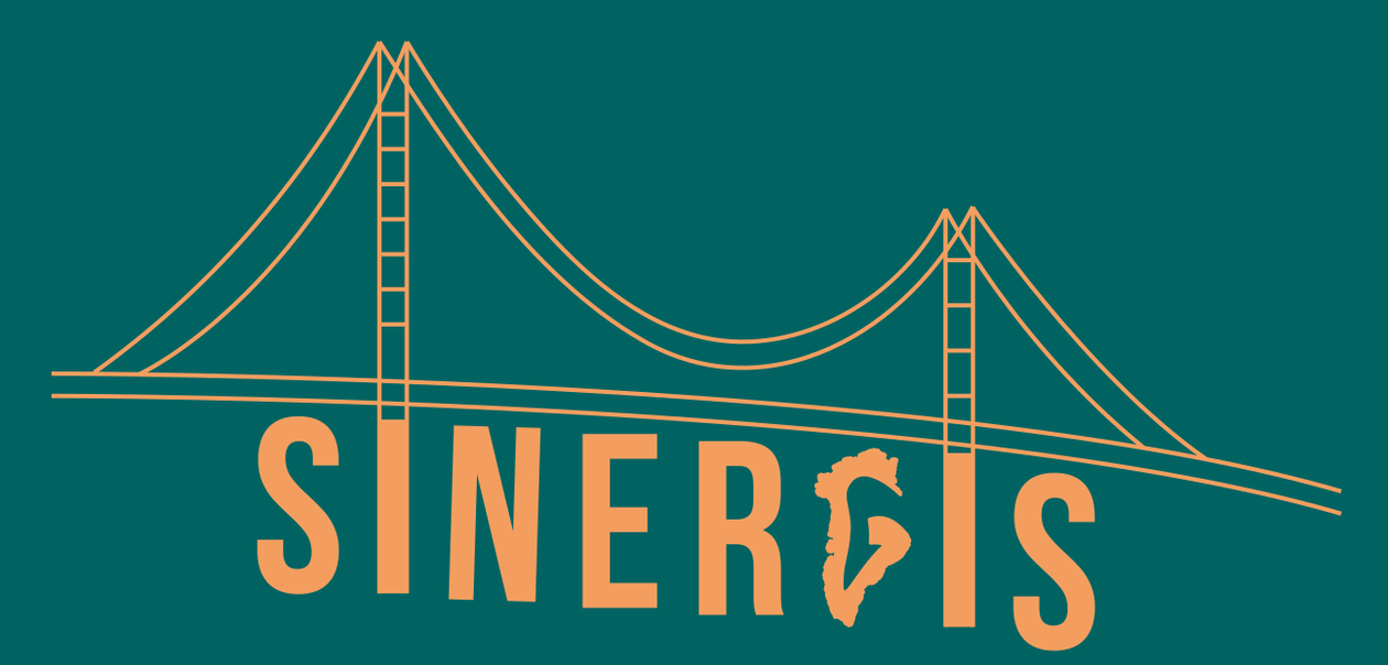 SINERGIS project logo