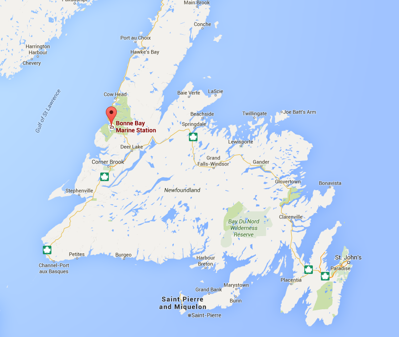 Kart Newfoundland
