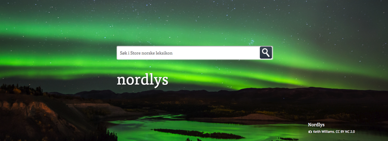 Skjermdump Store Norske Leksikon