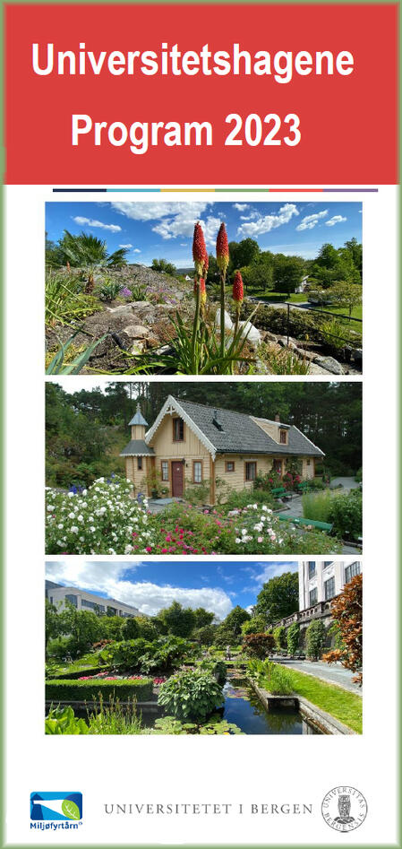 Programbrosjyren for i år