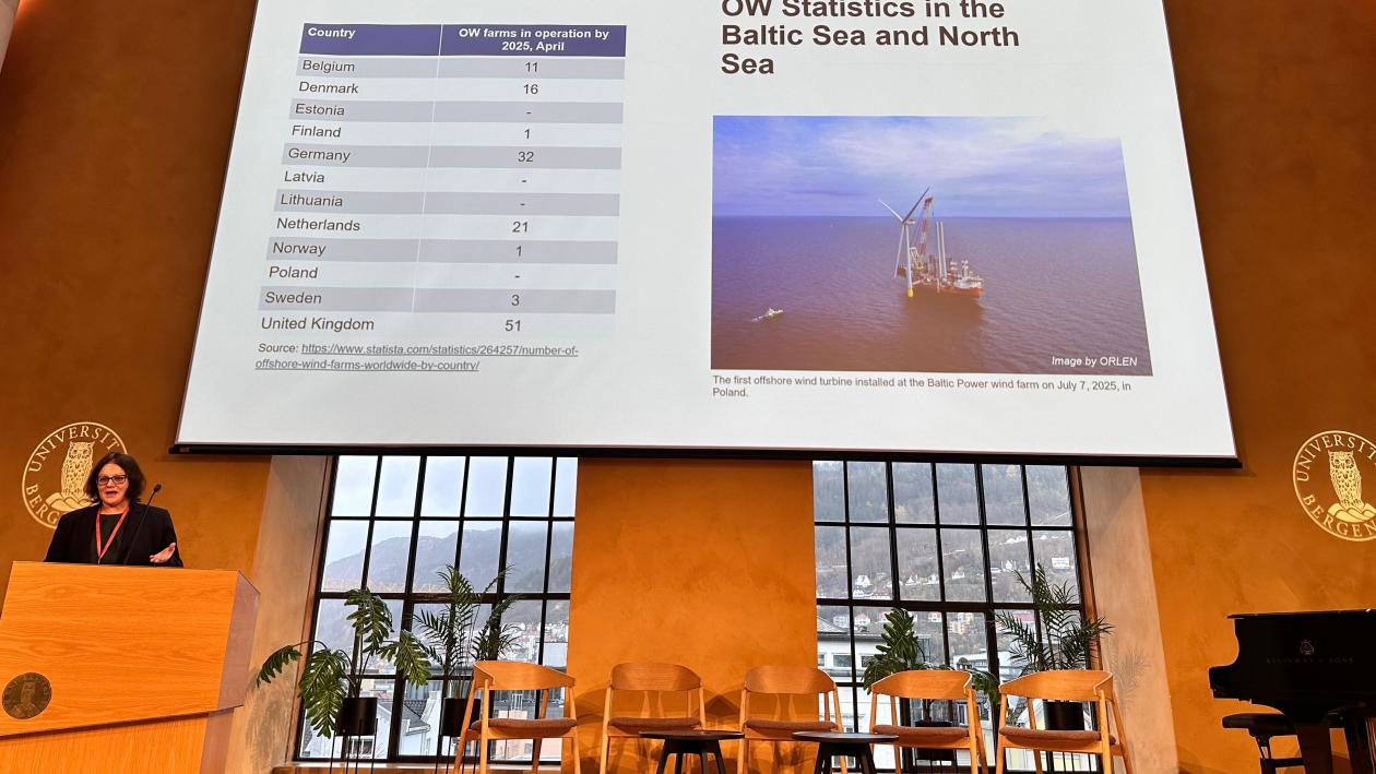 Leila Neimane speaking at SMI conference