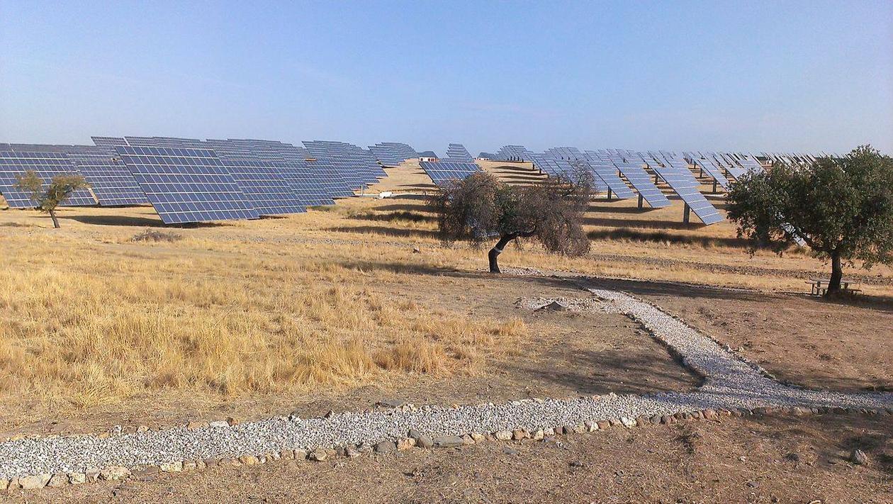 solar panels in dry landscape