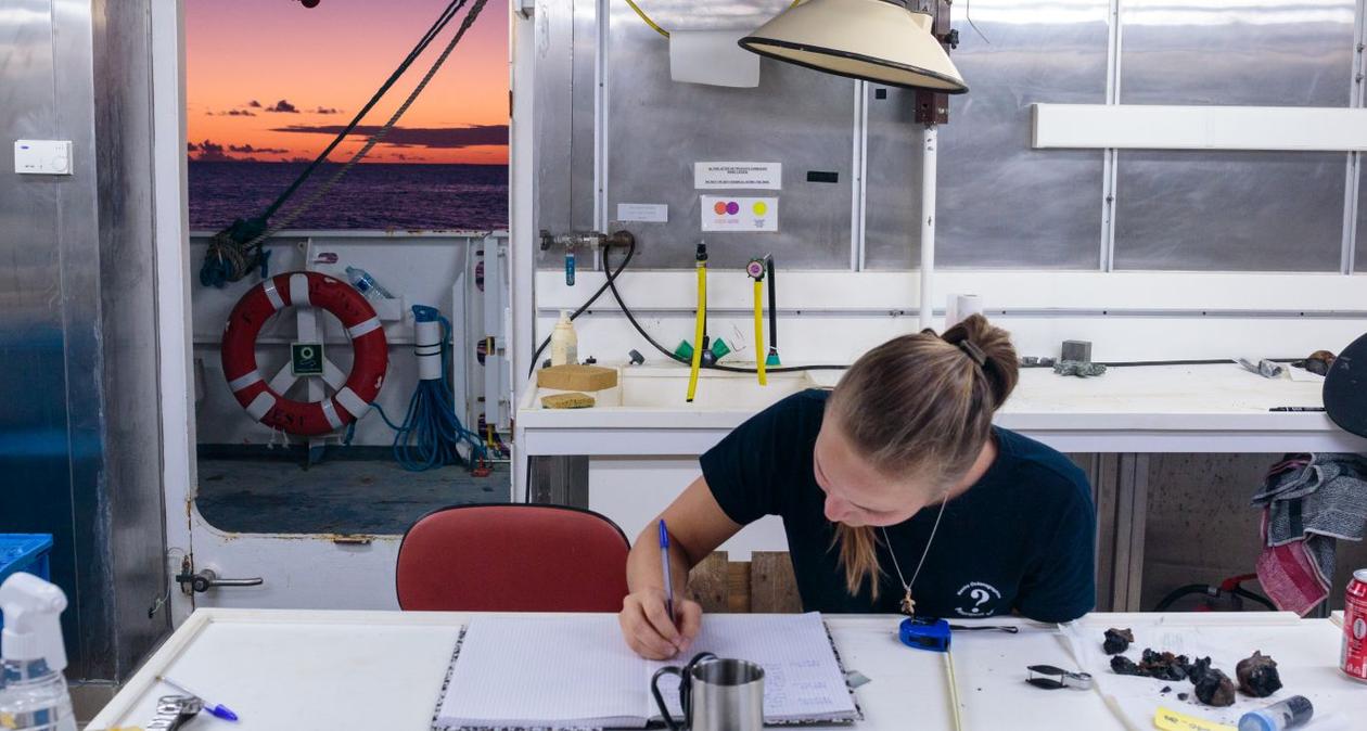 MSc student Solveig Lie Onstad working on samples during a cruise