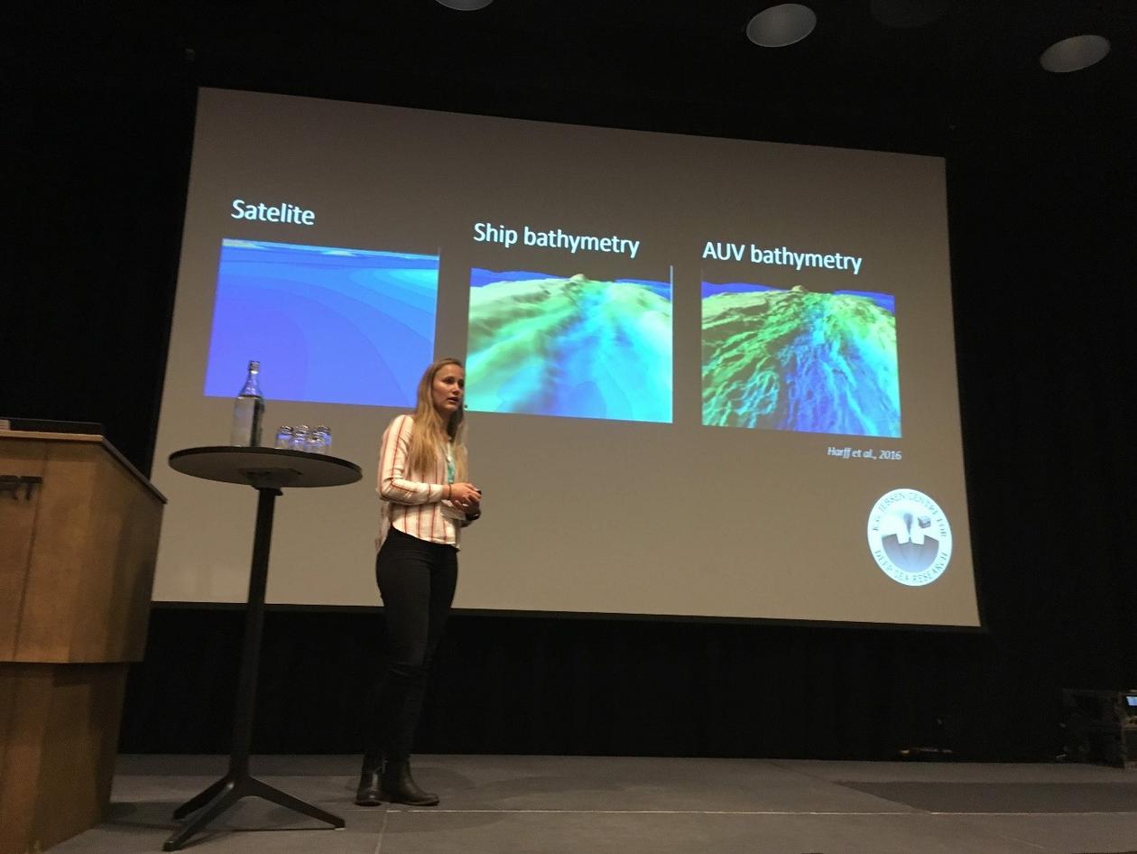 Foredrag av Solveig Lie Onstad