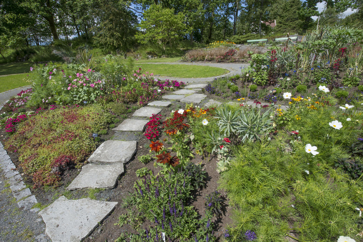 sommerblomstutstillingen2015