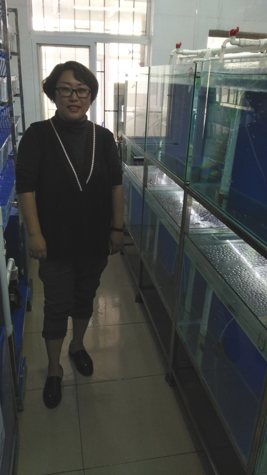 Sun Peng in her lab beside aquaria