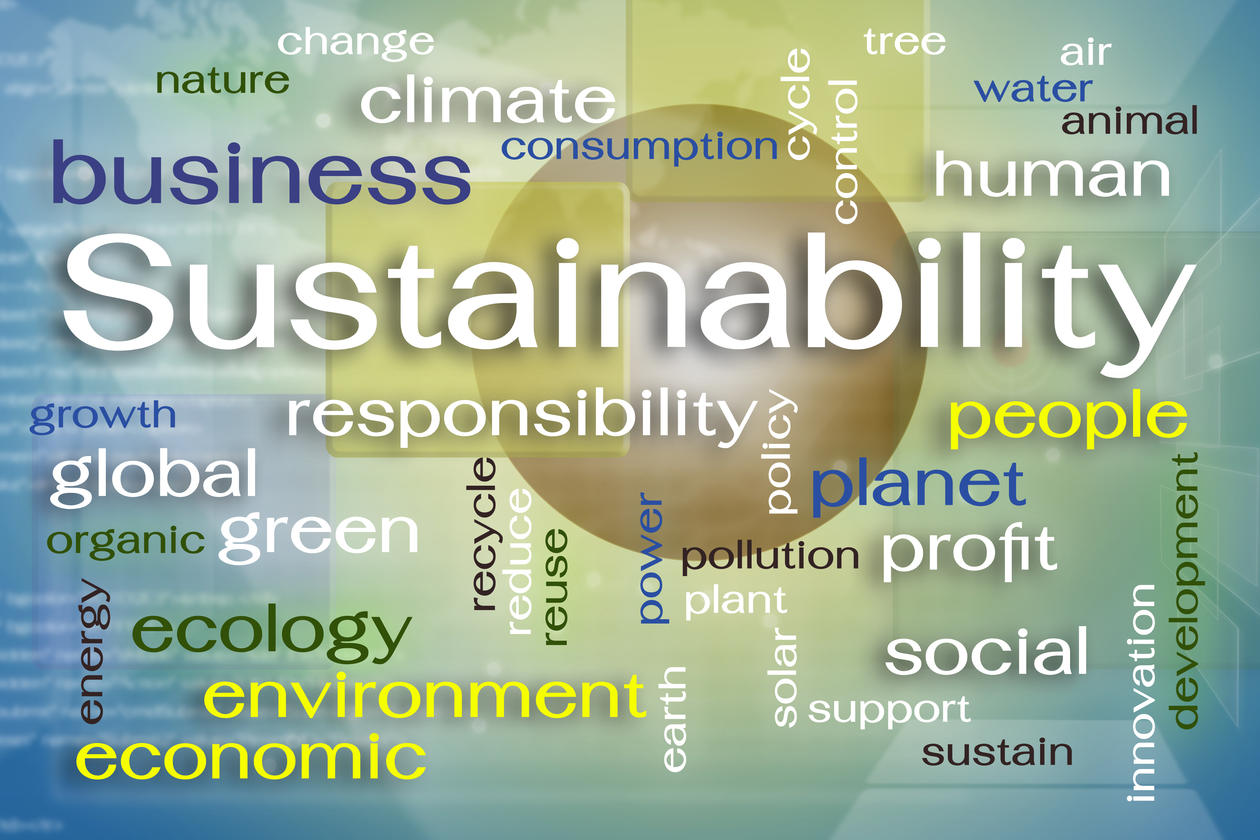 phd in global sustainable development