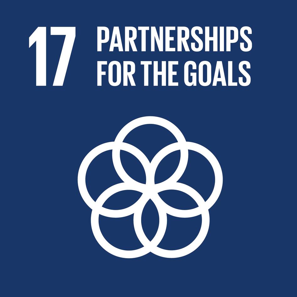 The text "17 Partnerships for the goals" and five circles forming a flower-like design in white on a blue background