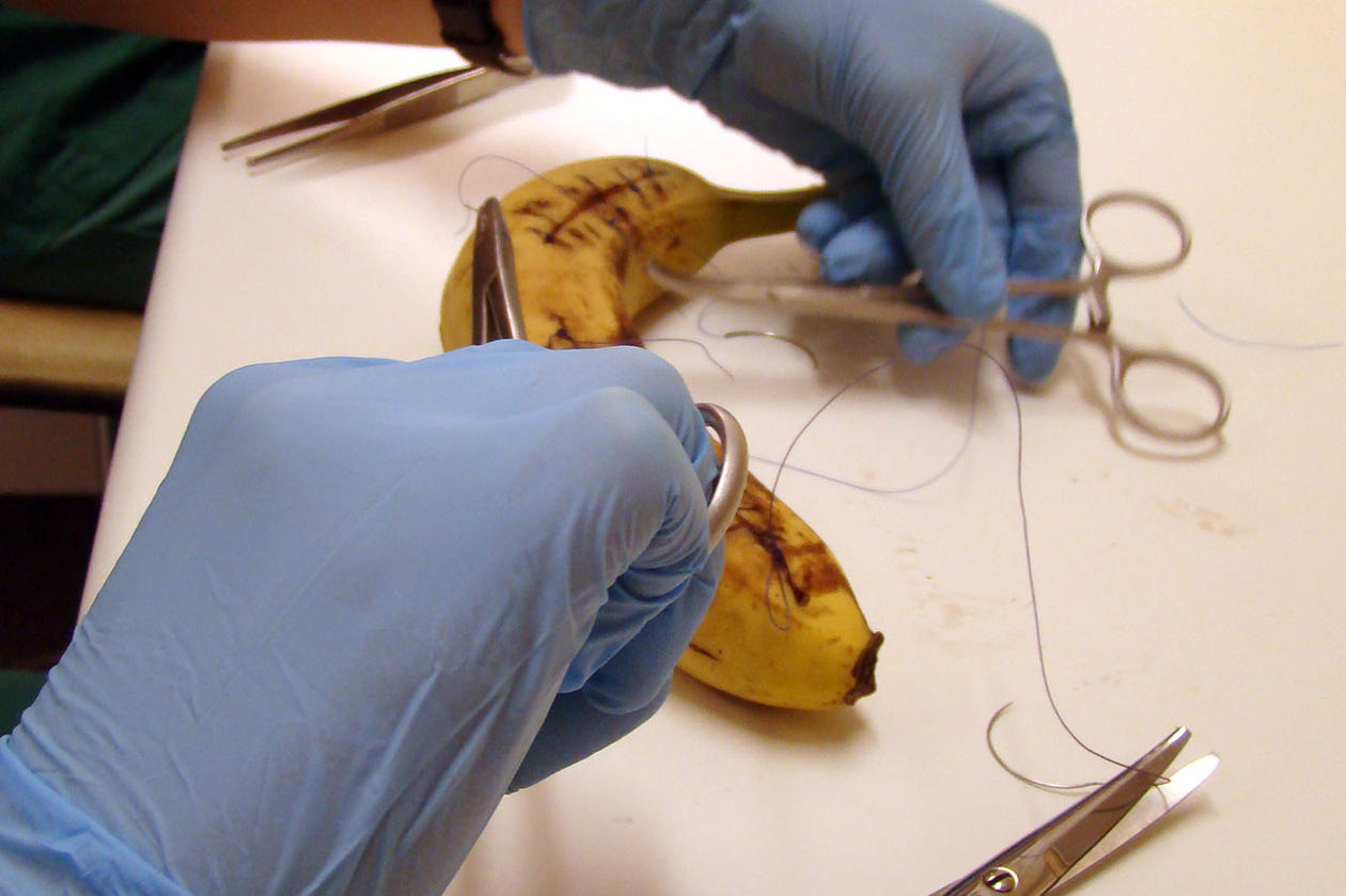 Raffinering av sutur teknikk ved bruk av alternativ til dyr