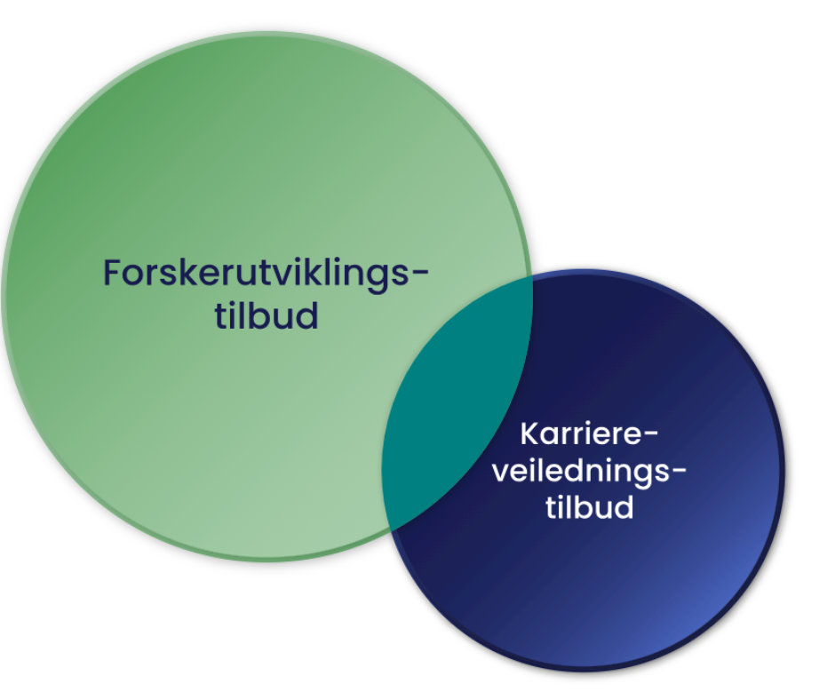 Forskerutvikling og karriereveiledning