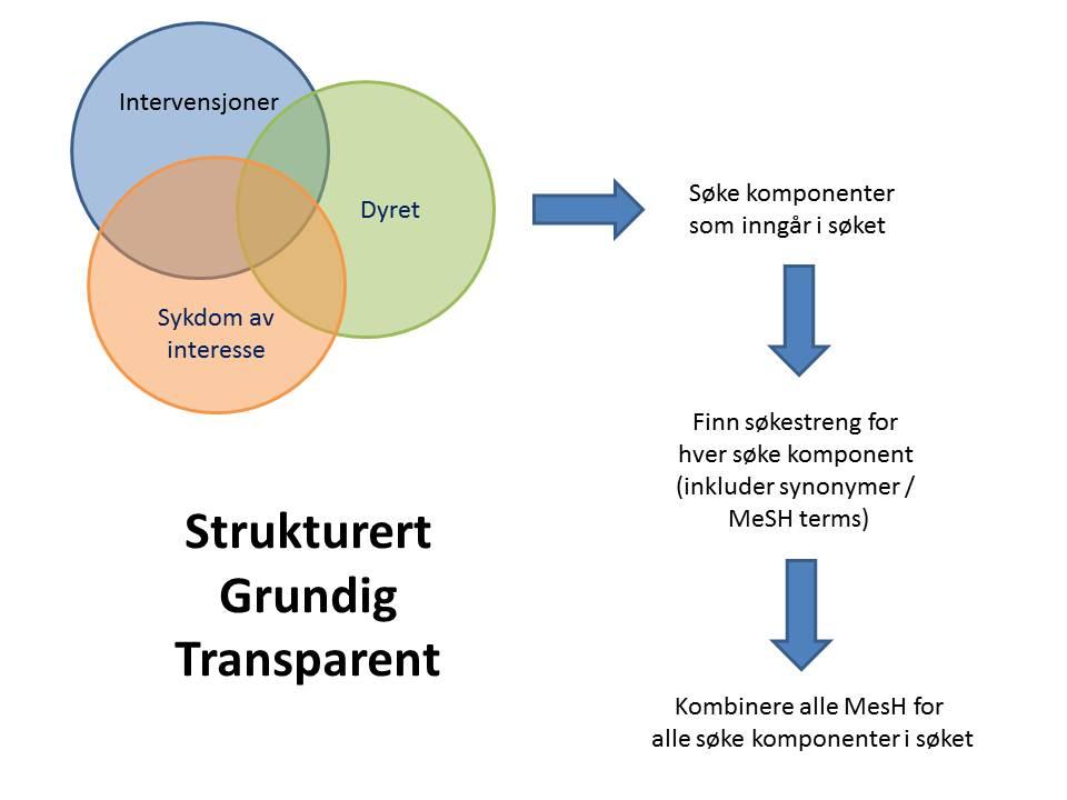 Flyt skjema Systematisk grundig og transparent søk