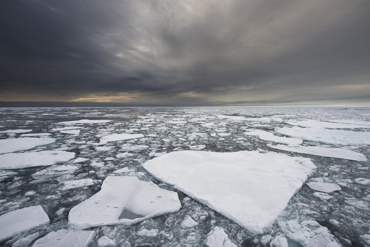 Photo of ice flakes in the Arctic under a grey sky.
