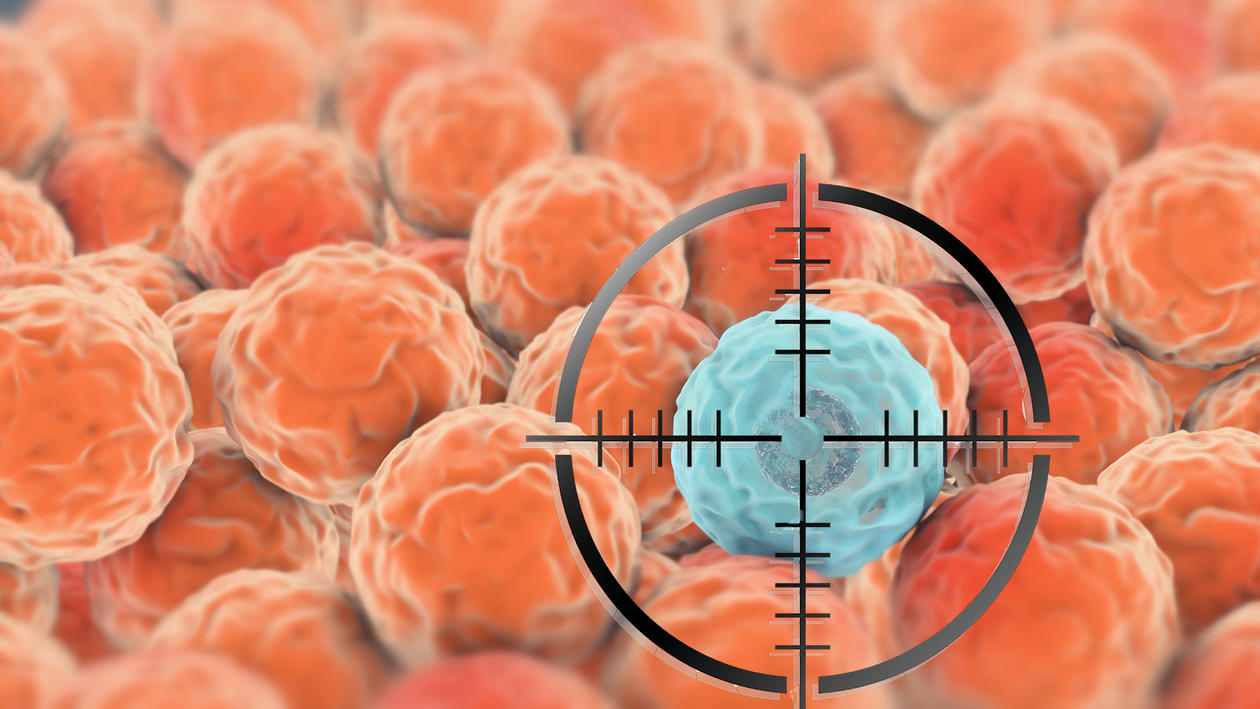 Target aim at cancer cell