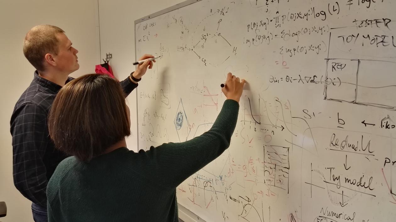 Mathematicians face new challenges as they are modeling biology  Mathematicians working on a white board with complex algorithms