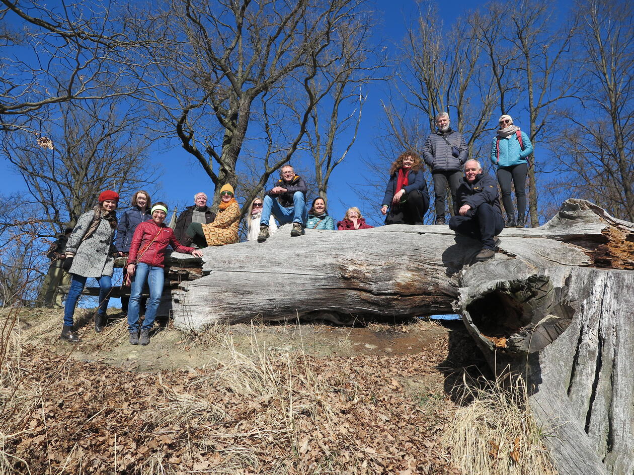 Group photo of project group standing on and around a massive old oak tree trunk.