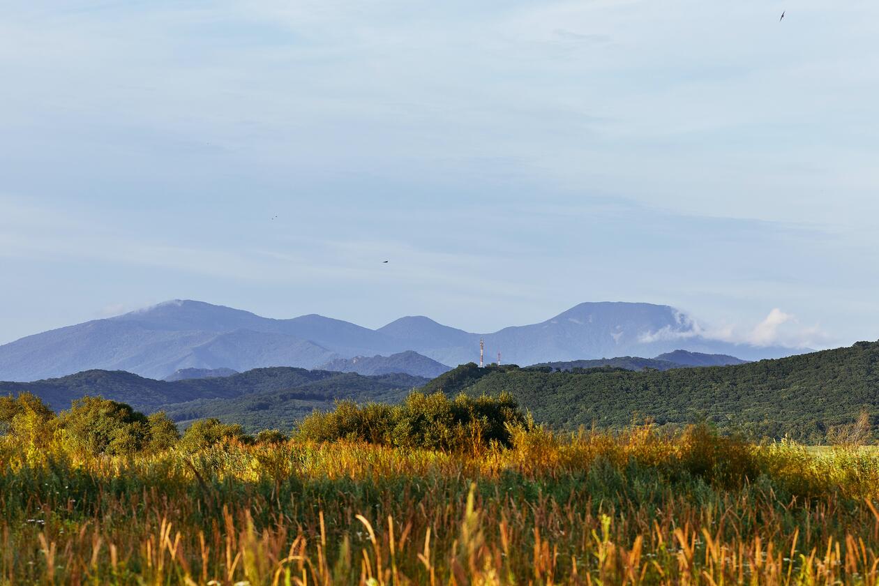 A warm autumn evening in the russian countryside