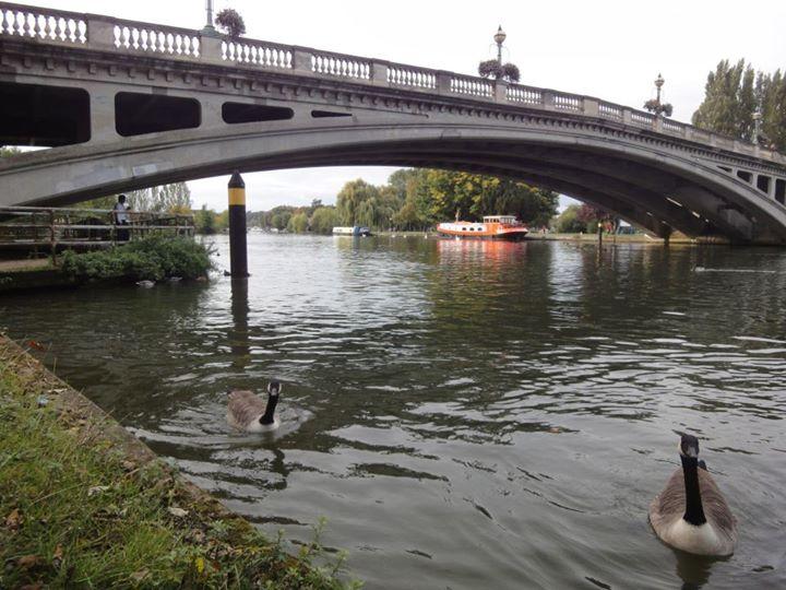The river Thames, Reading.