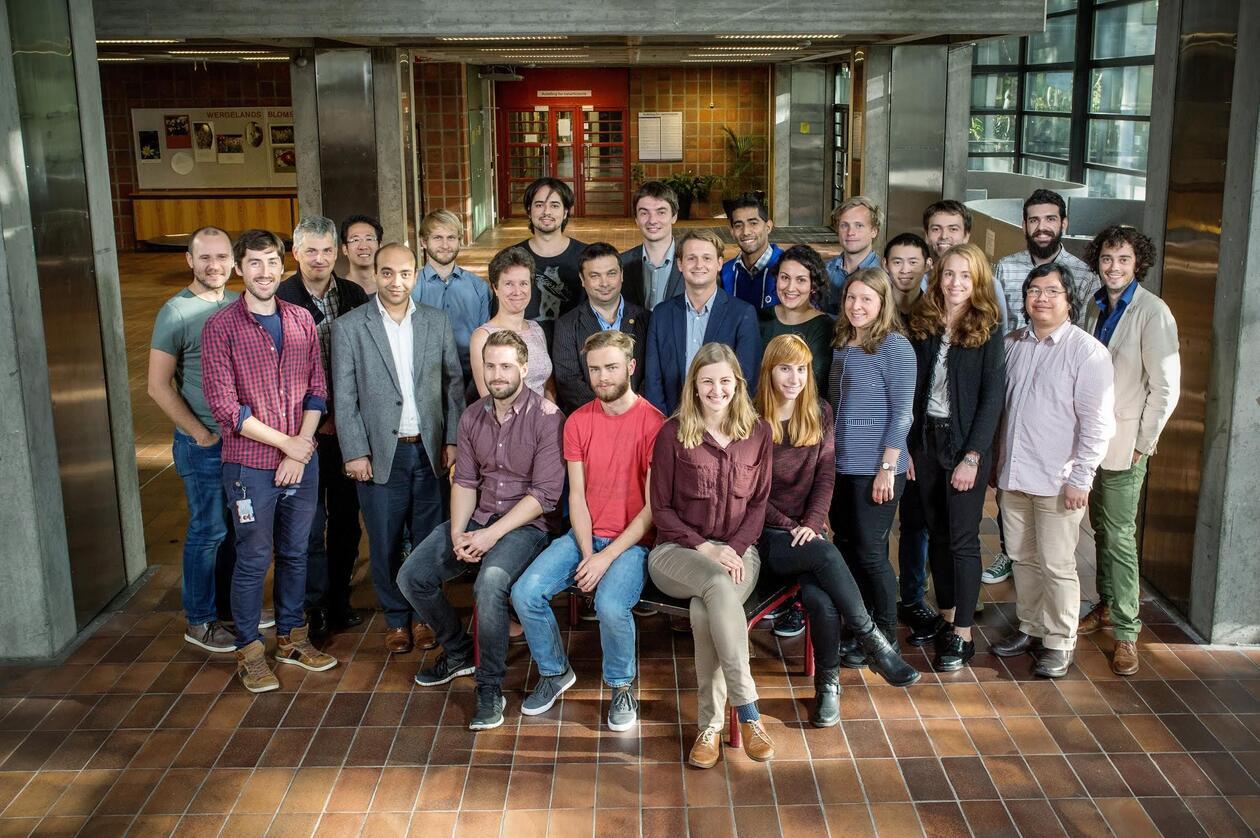 Katta yalangoch eshak fotosuratlar