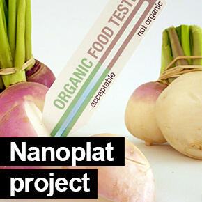 Vegetables, organic food test strip and the title Nanoplat project