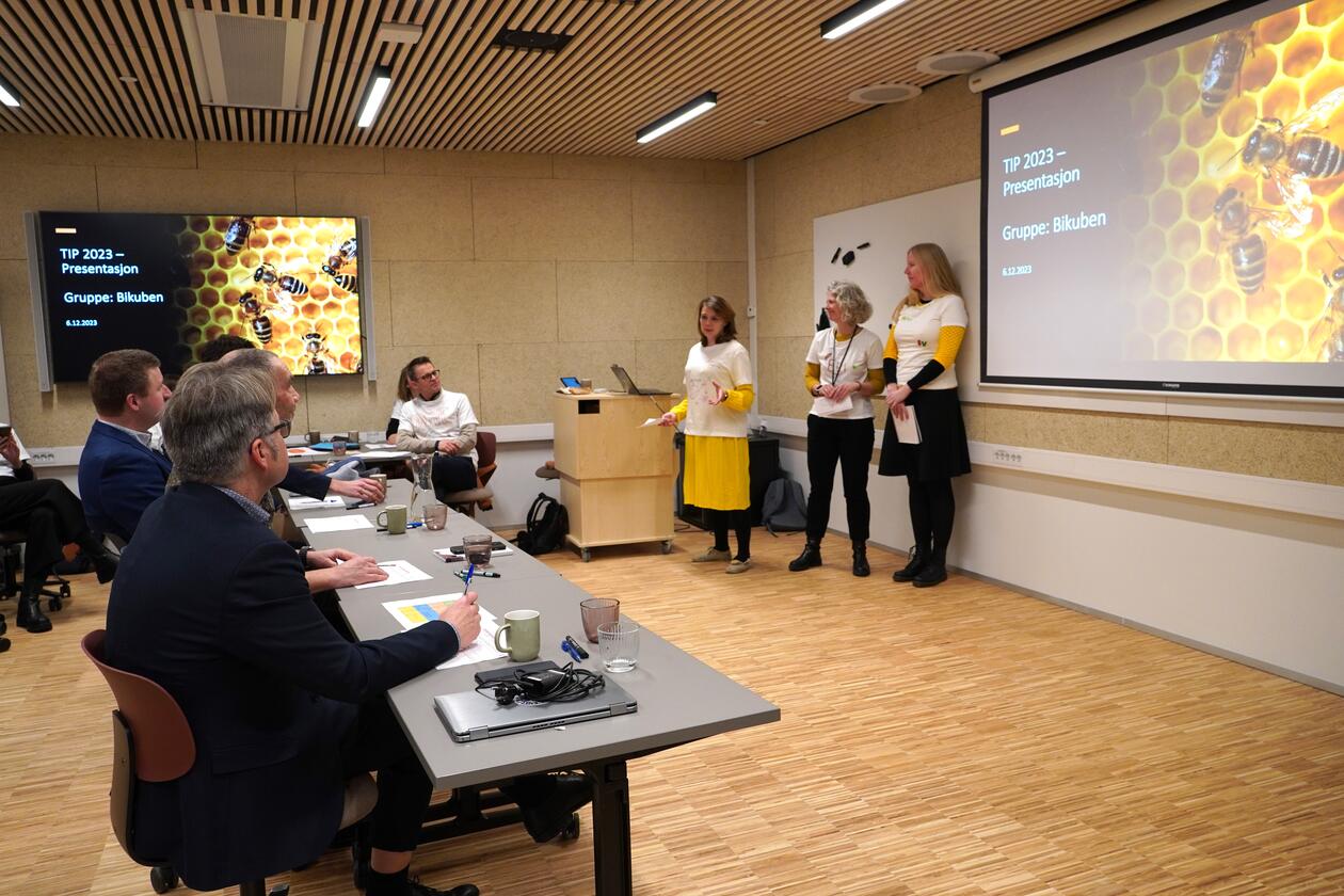 Deltakere fra en gruppe presenterer