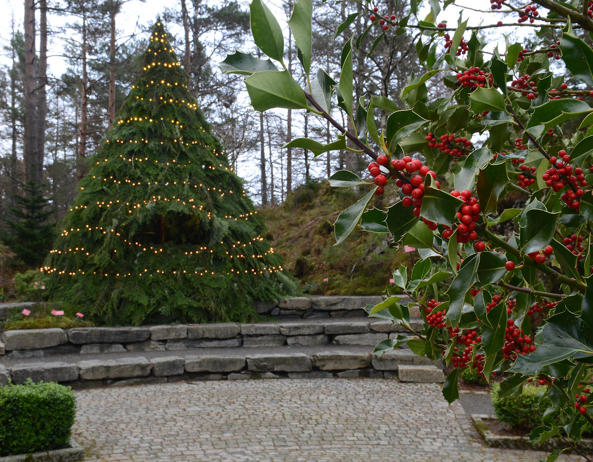Kortrappen med den store flotte tipien.