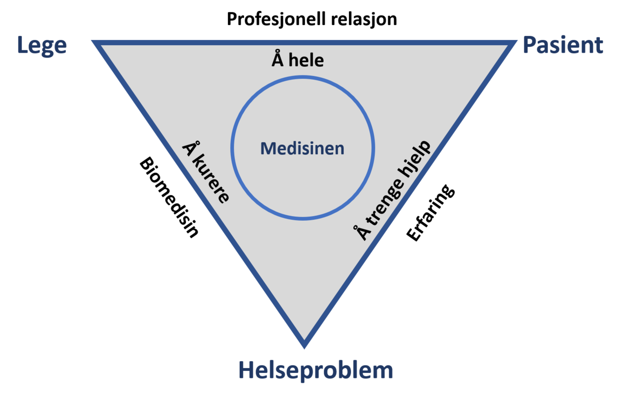 Lege - pasient - helseproblem
