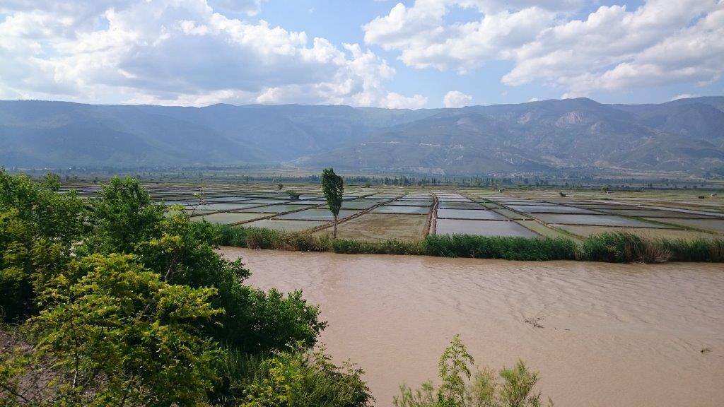 The local rice farmers are completely dependent on access to the river.