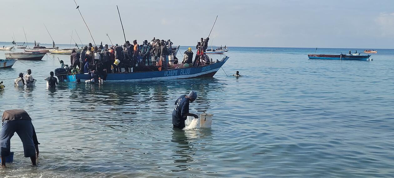 BLUE ECONOMY: Small-scale fisheries provide hope to fight malnutrition among large parts of the world population, illustrated by this photo from Zanzibar of the boat Uchumi Bluu, which means “blue economy” in Swahili. 
