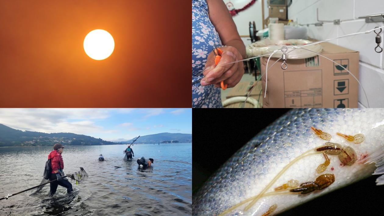 Unsplash - Iselin Åsedatter Strønen