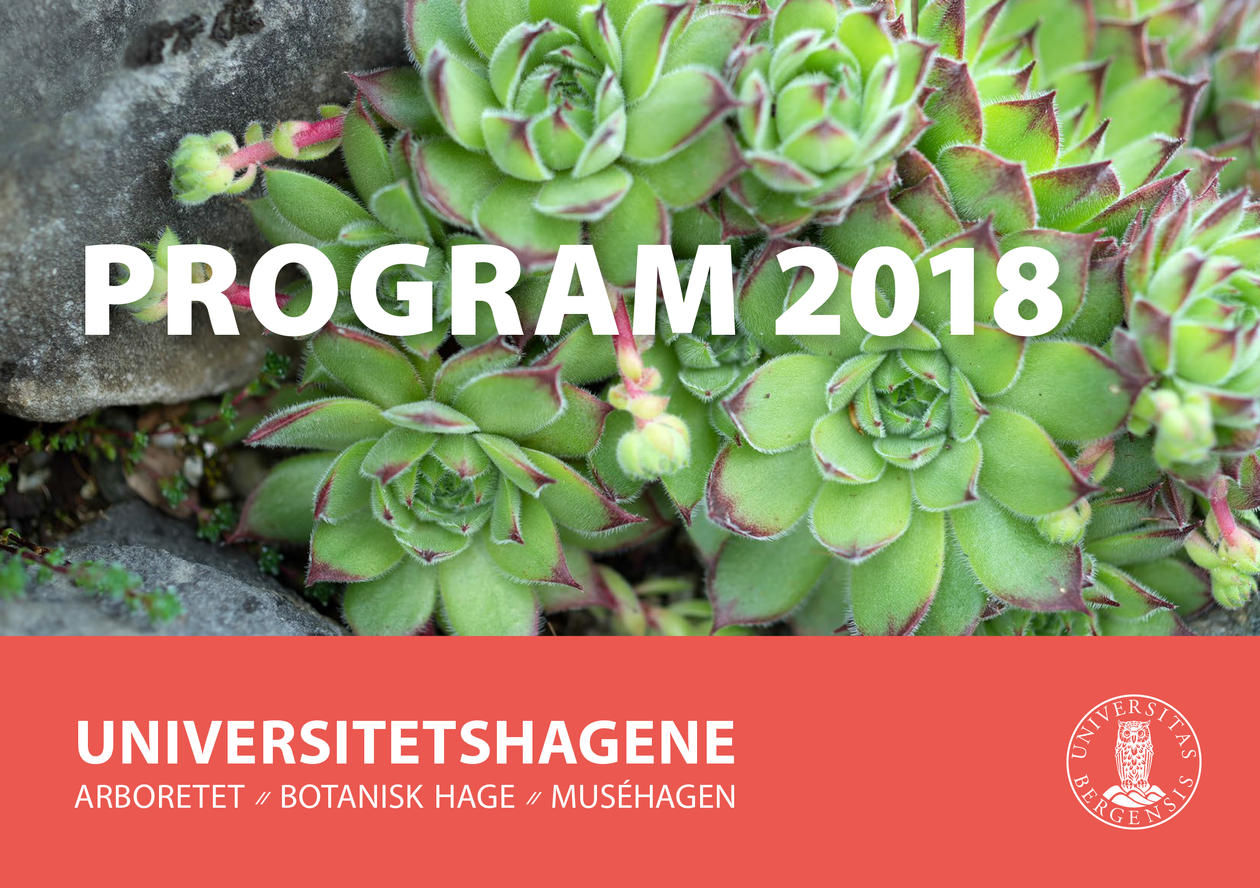 Program 2018