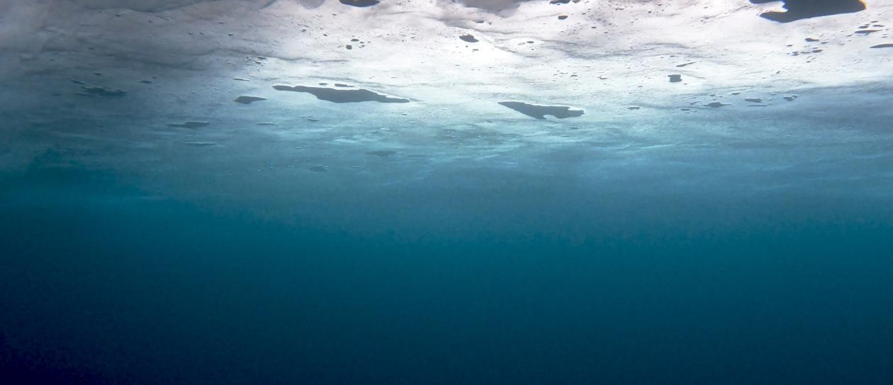 Ocean Ice from below