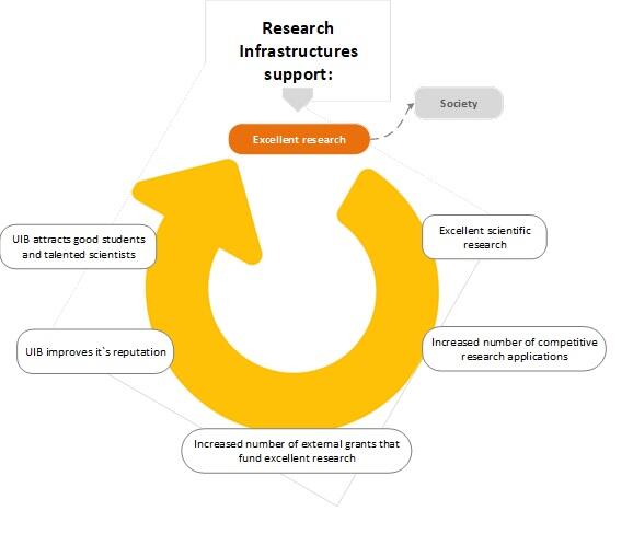 Research Infrastructure Network