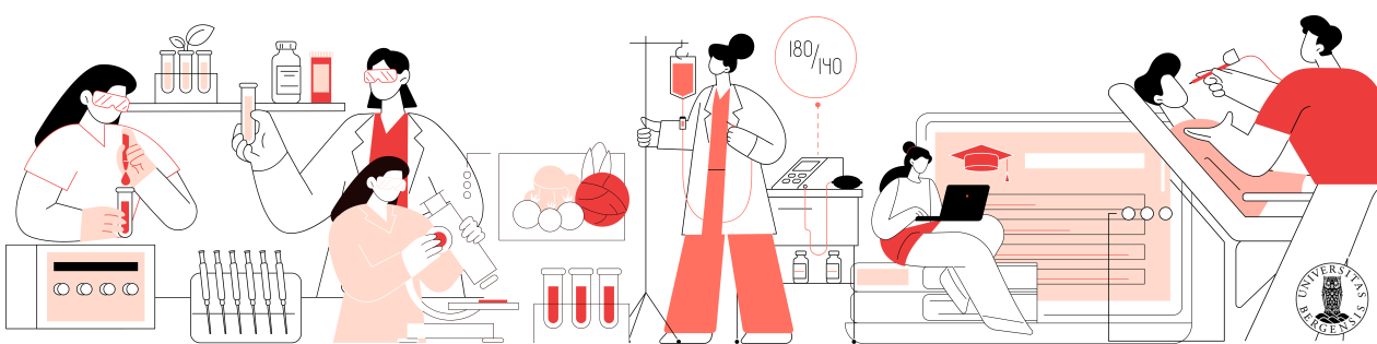 Illustrasjon av ulike studietilbud