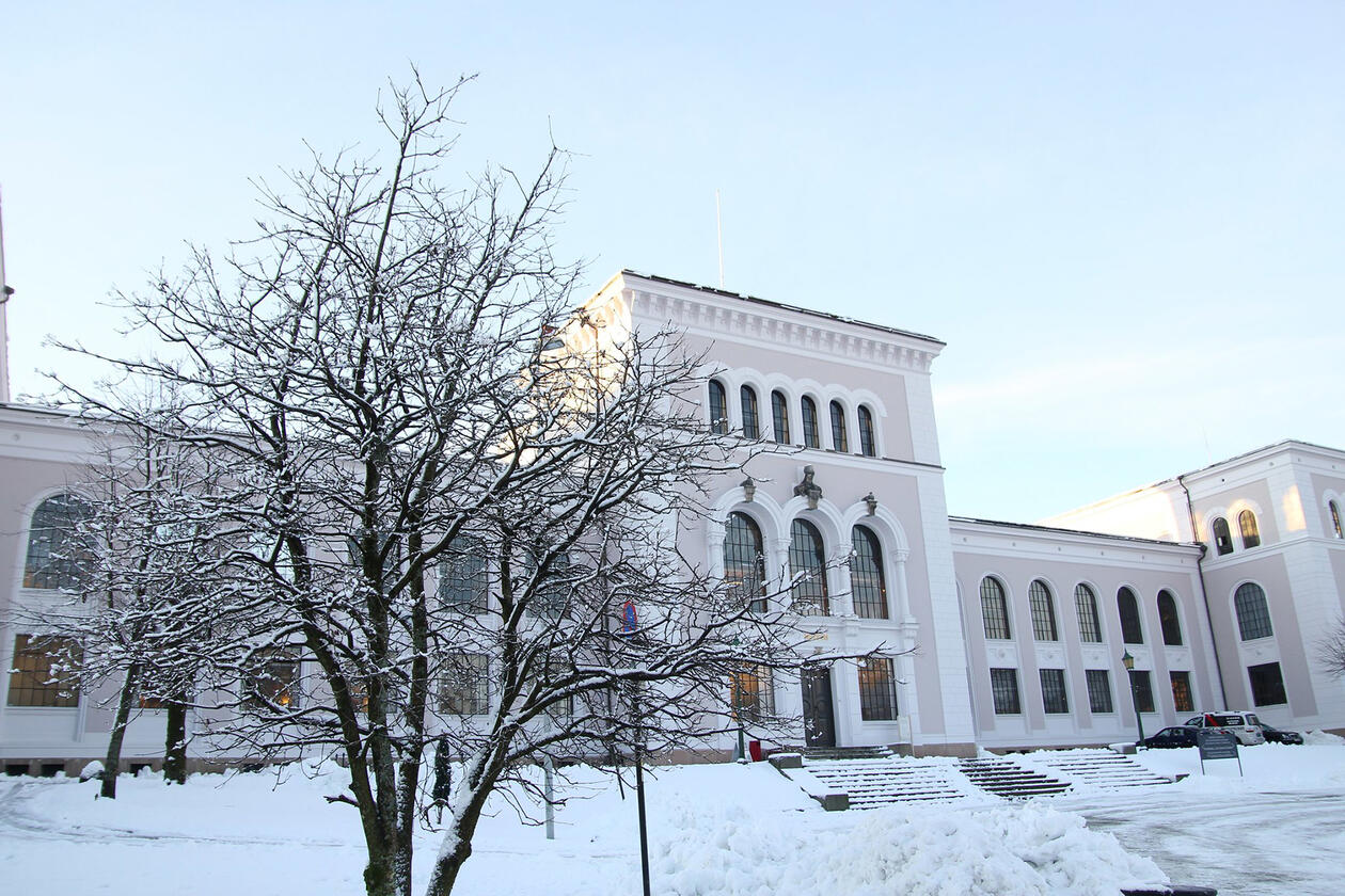 University museum of Bergen in snow