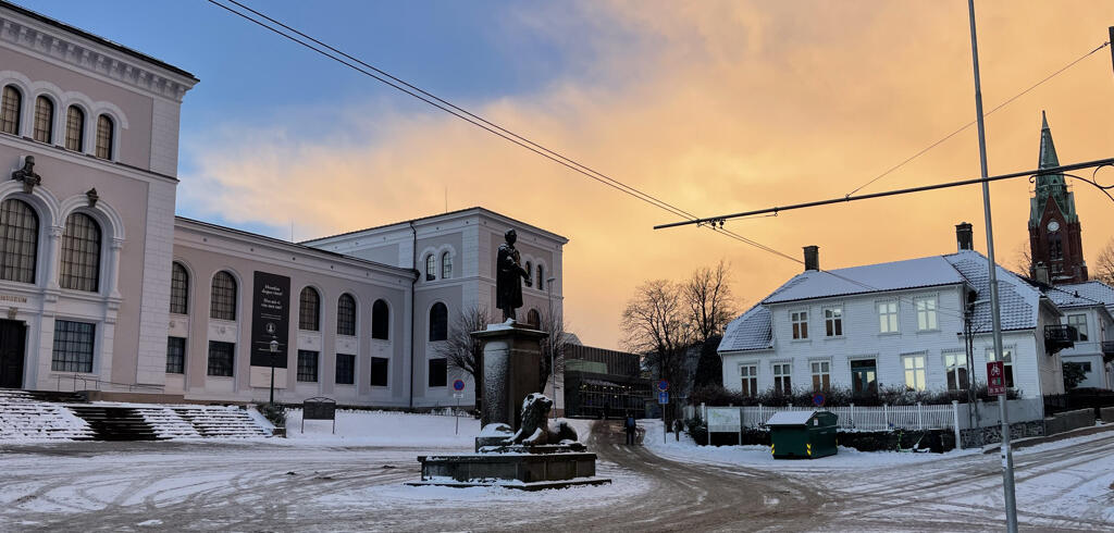 bilde av vinter på museplass