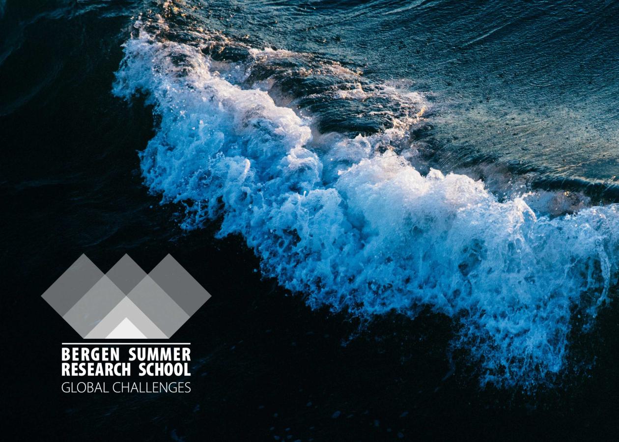 Wave and logo of BSRS