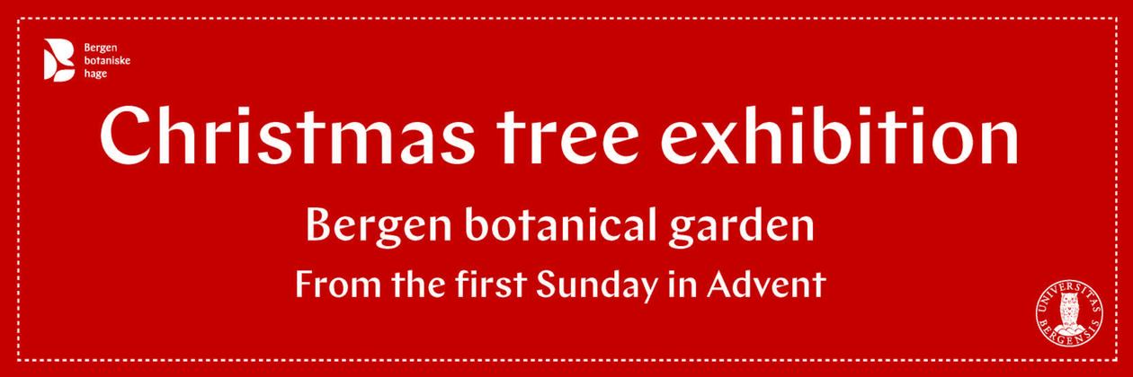 Christmas tree exhibition