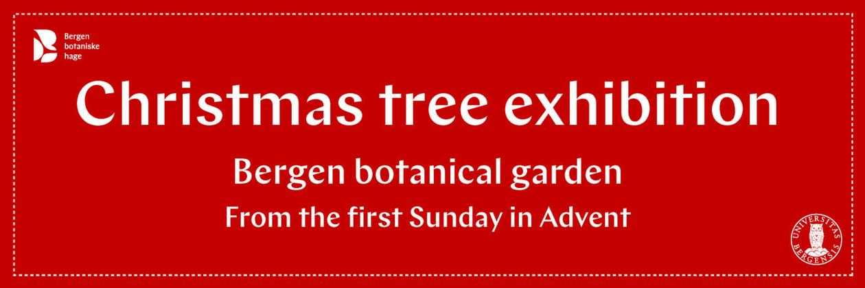 Christmas tree exhibition