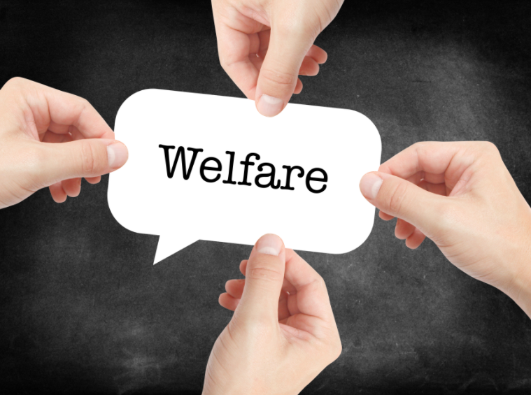 Hands holding a sign with the text welfare