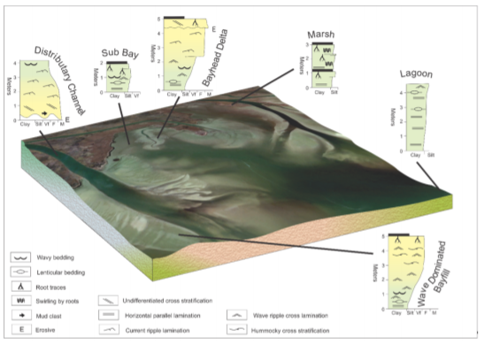 Neslen Formation Book Cliffs