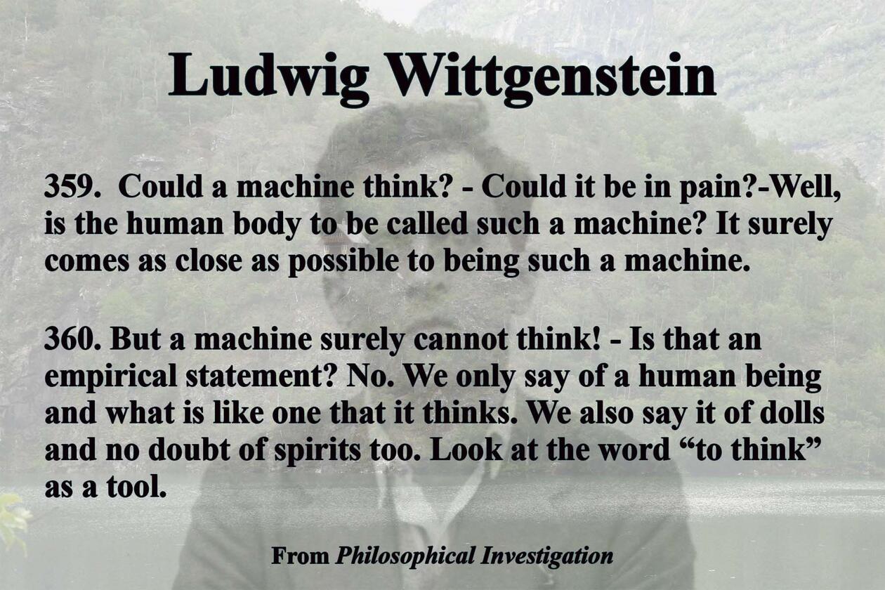 De to seksjonene 359 og 360 fra Philosophical Investigation med et bilde av Wittgenstein som bakgrunn og et av Skjolden med det lille huset til Wittgenstein i skråningen over fjorden.