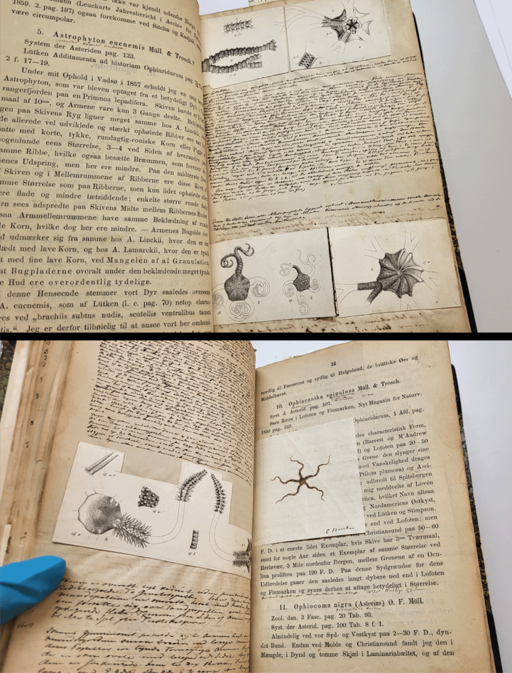 Two photographs of an open book with hanwritten notes and cut-out drawings