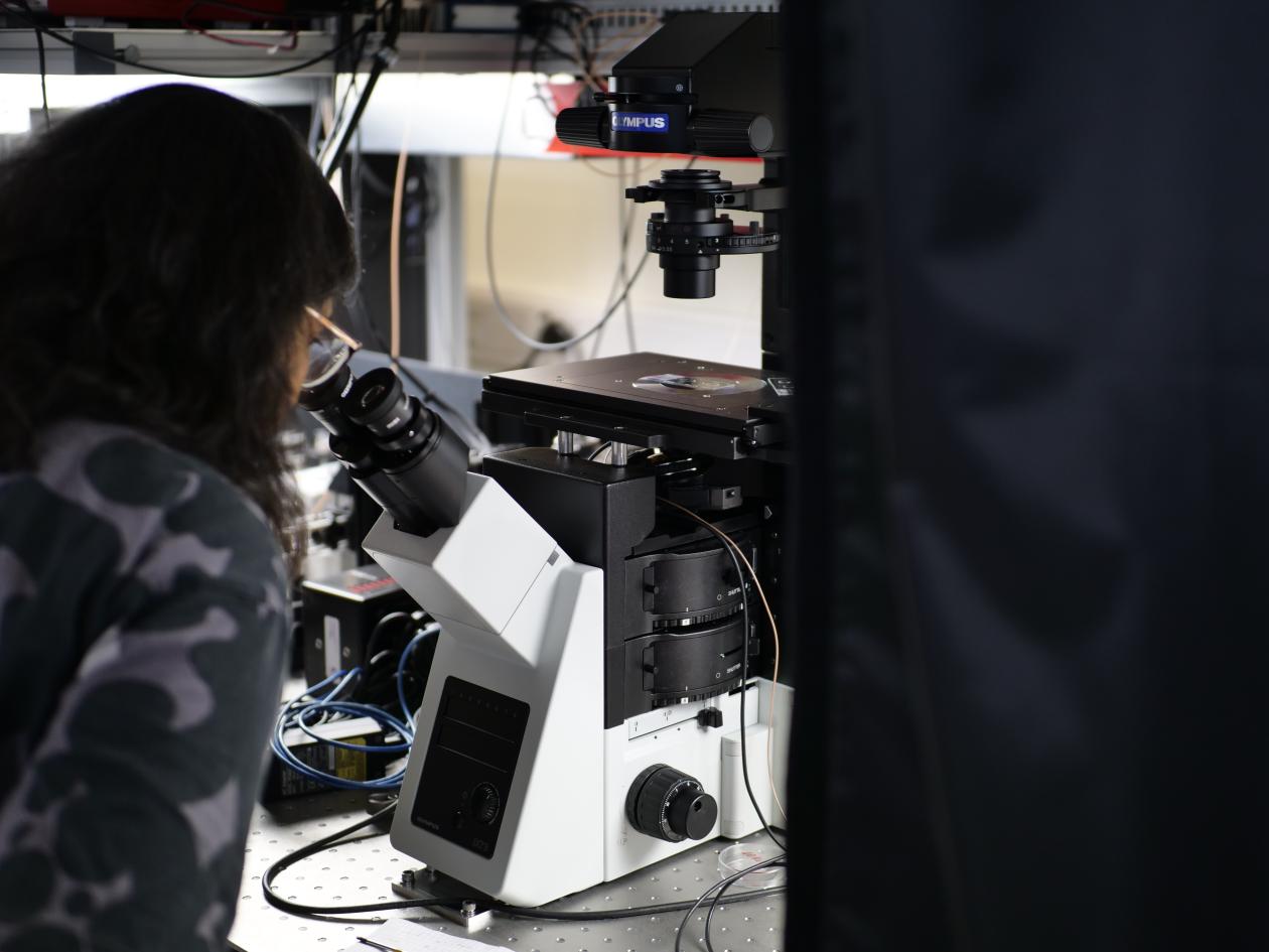 Sushma Grellscheid looking into microscope