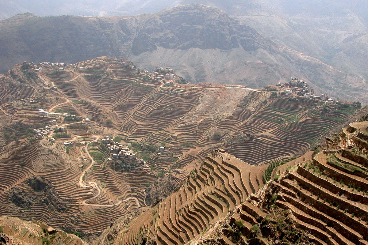 Agricultural terraces in Bayt Qadam, Hajja, Yemen. 