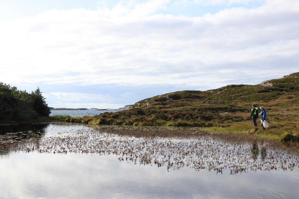 Plastrydding på Lisle Lyngøy