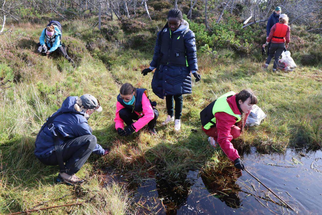 Plastrydding på Lisle Lyngøy