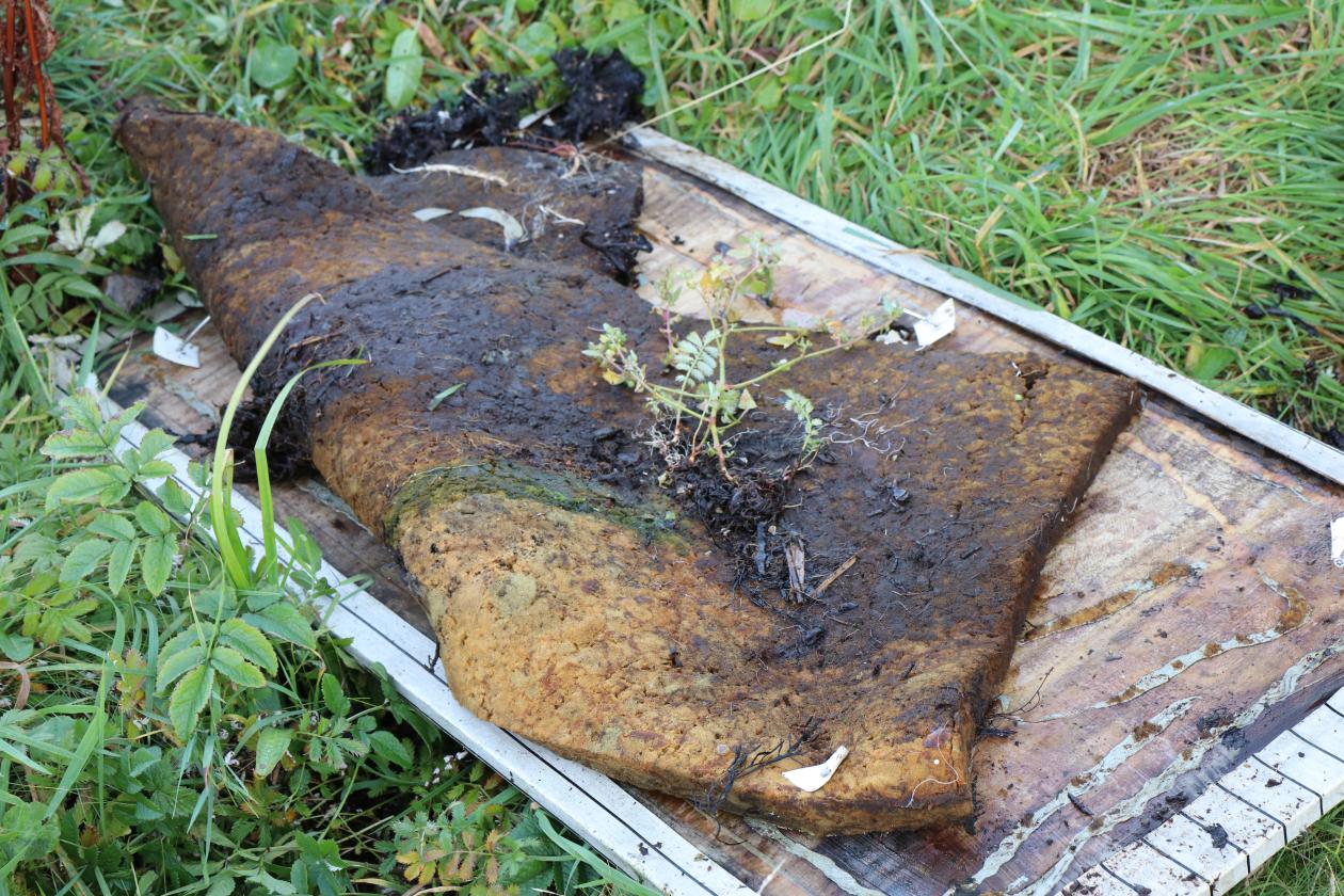 Plastrydding på Lisle Lyngøy