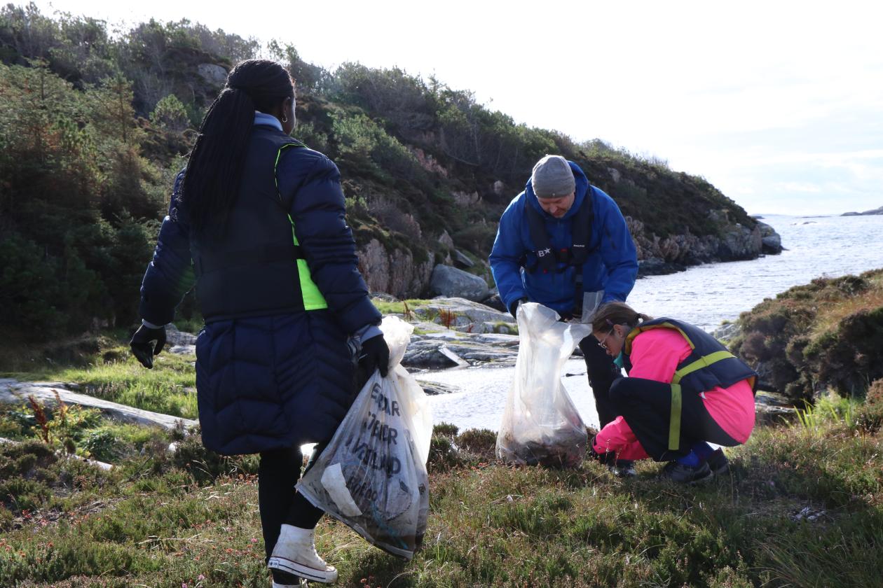 Plastrydding på Lisle Lyngøy