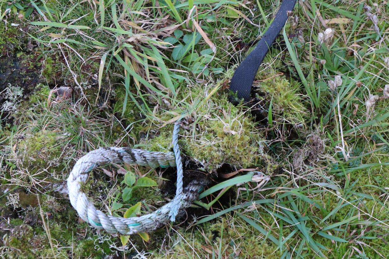 Plastrydding på Lisle Lyngøy